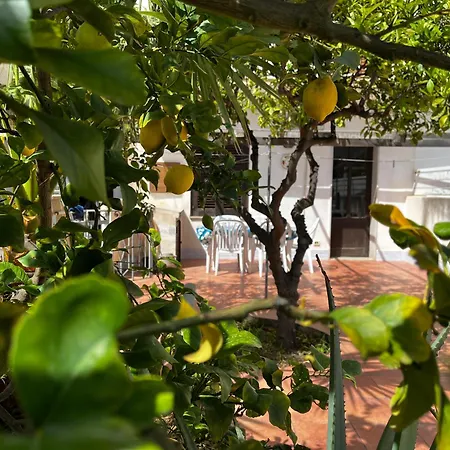 Casa Ciccio